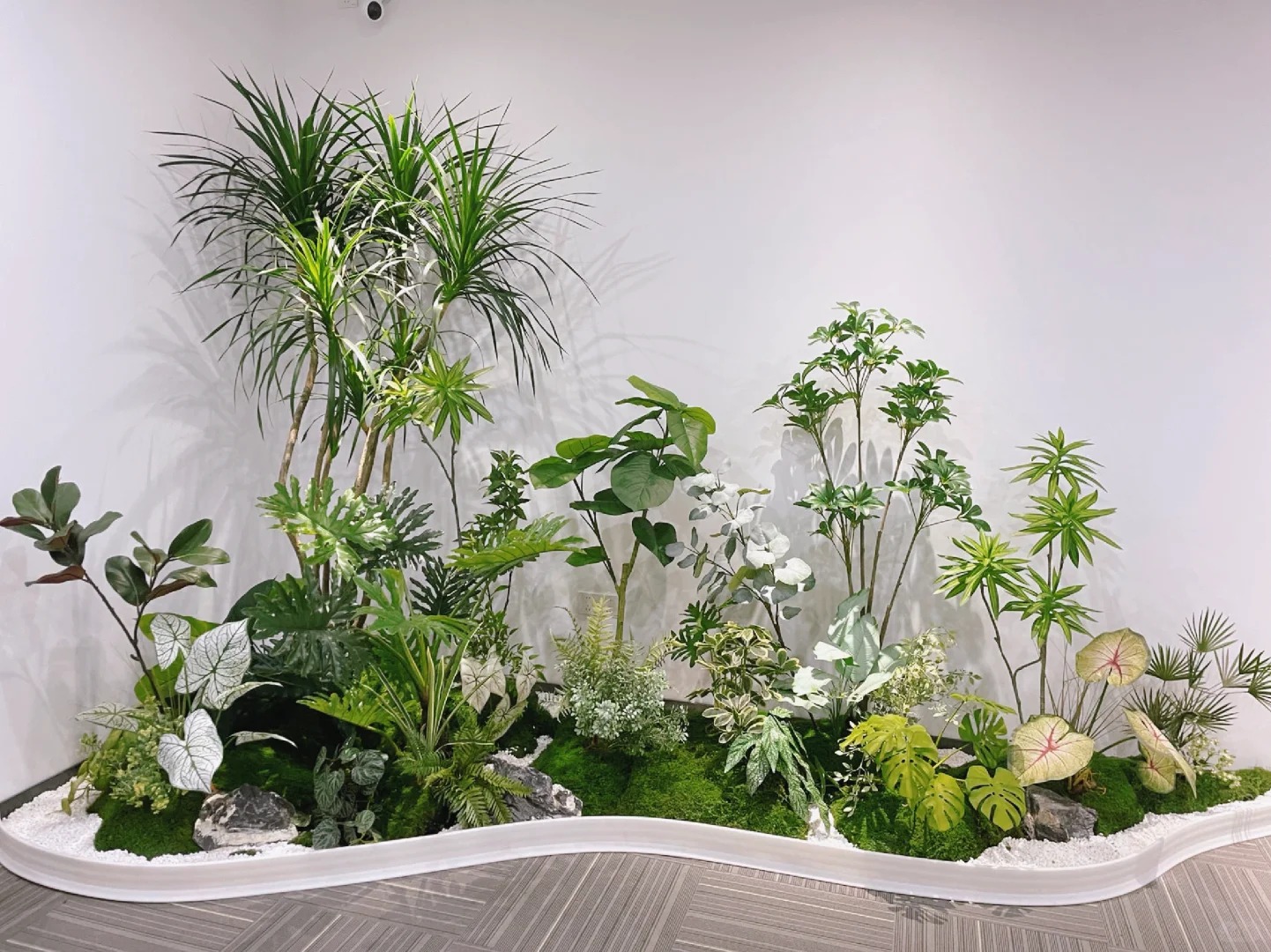 余姚专业植物租摆，让绿植为环境增添独特魅力！